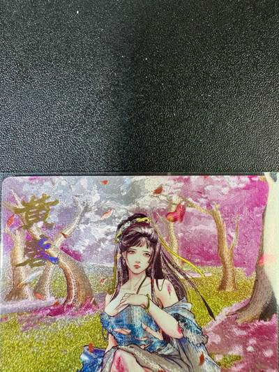 NO.13 好又多金牌大场，每周一站式配齐，方便凑单！（周6晚8点截拍，卖家送拍0抽成！） - 奇点 鼎飞动漫 射雕英雄传特卡 战损版黄蓉 粗闪