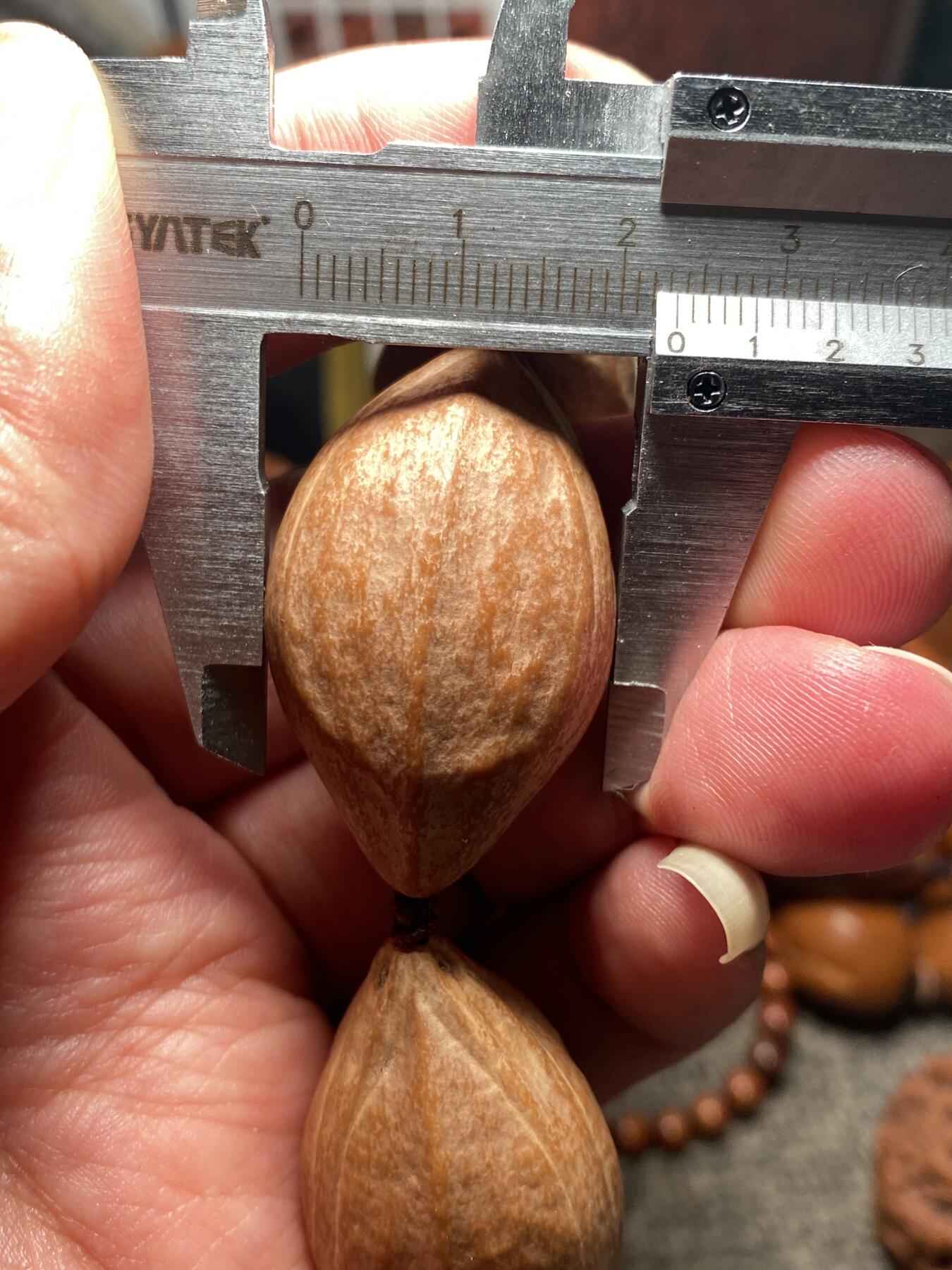 苏工原创手工核雕放漏价 福利苏工核雕，纯，天然梅林大榄核脖挂手持，个性十足，等待有缘人，市场少见，漂亮，超大，尺寸2。3x3.9左右喜欢的来
