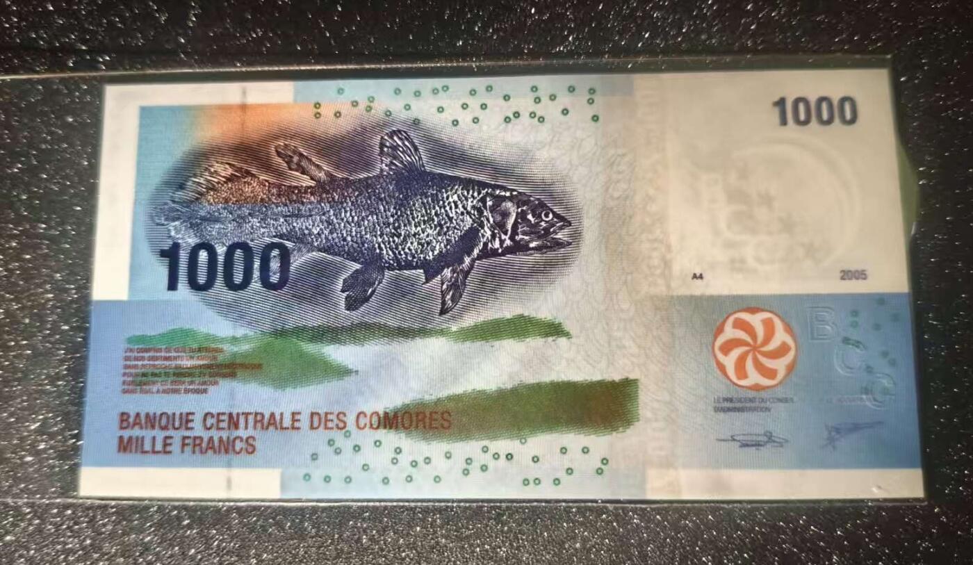 得物收藏 Chase Auction 第34期 - - 外钞、民国钞和人民币混合场！持续更新中！ 科摩罗1000法郎，世界最佳纸币，品相如图！