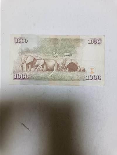 【20251020】非全新纸币第296场 肯尼亚2004年1000先令，汇率价约为55元
