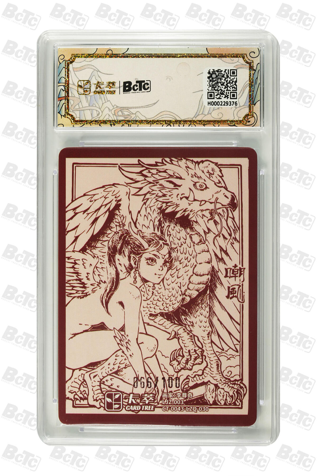 卡德曼  三国 西游礼盒