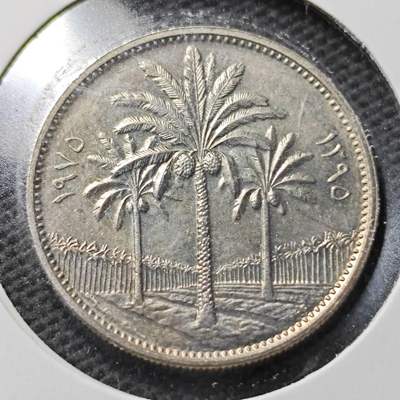 KK钱币收藏小铺 第355场 2月预留时间 周末发货