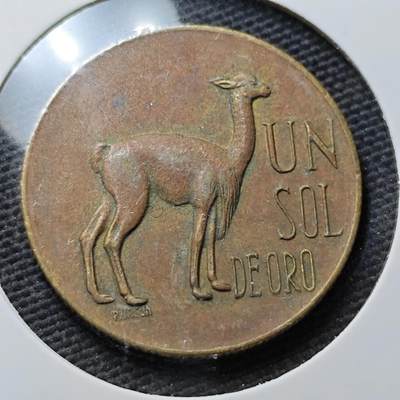 KK钱币收藏小铺 第355场 2月预留时间 周末发货 -  秘鲁1索尔铜币