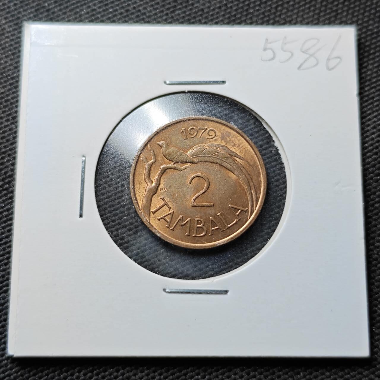 KK钱币收藏小铺 第355场 2月预留时间 周末发货  1979马拉维2分铜币