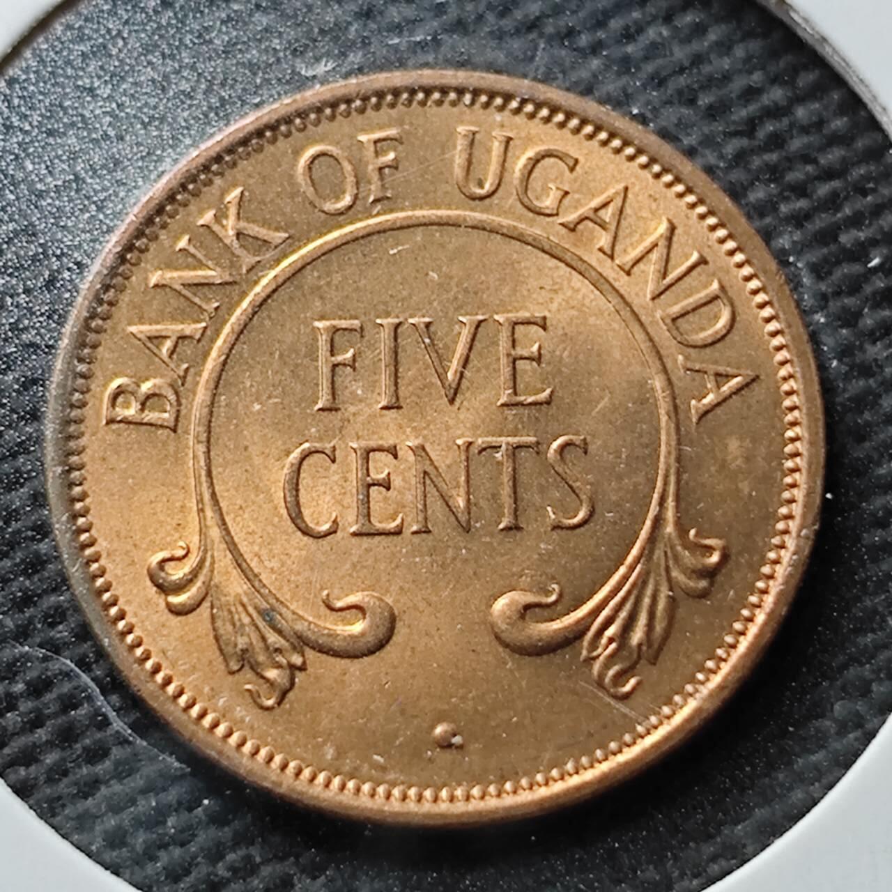 KK钱币收藏小铺 第355场 2月预留时间 周末发货