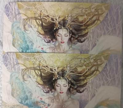 花开卡拍第43期（10月19号周日截拍，品控勿拍!!!拍品不寄存，运费5元，自制卡难免瑕疵，可能存在轻微撞角爆边等出厂瑕疵，品控介意勿拍！） - 燎原刷子妖姬传 龙女双服饰 普卡2张