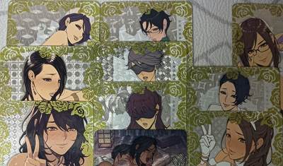 花开卡拍第43期（10月19号周日截拍，品控勿拍!!!拍品不寄存，运费5元，自制卡难免瑕疵，可能存在轻微撞角爆边等出厂瑕疵，品控介意勿拍！） - 火猪 绝版只田艺术套卡 粗闪10张，最下面的特卡有闪纹偏移介意勿拍