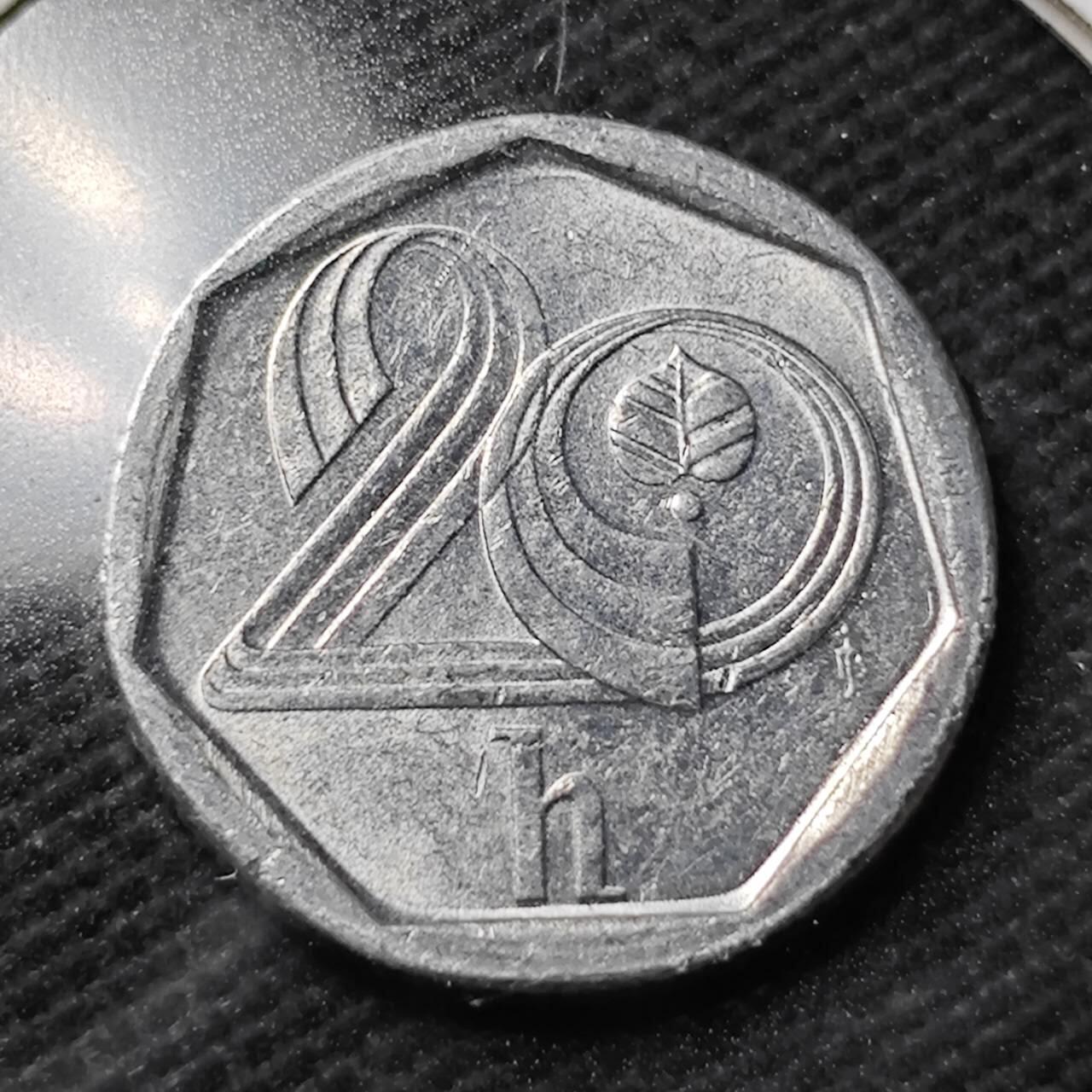 KK钱币收藏小铺 第355场 2月预留时间 周末发货