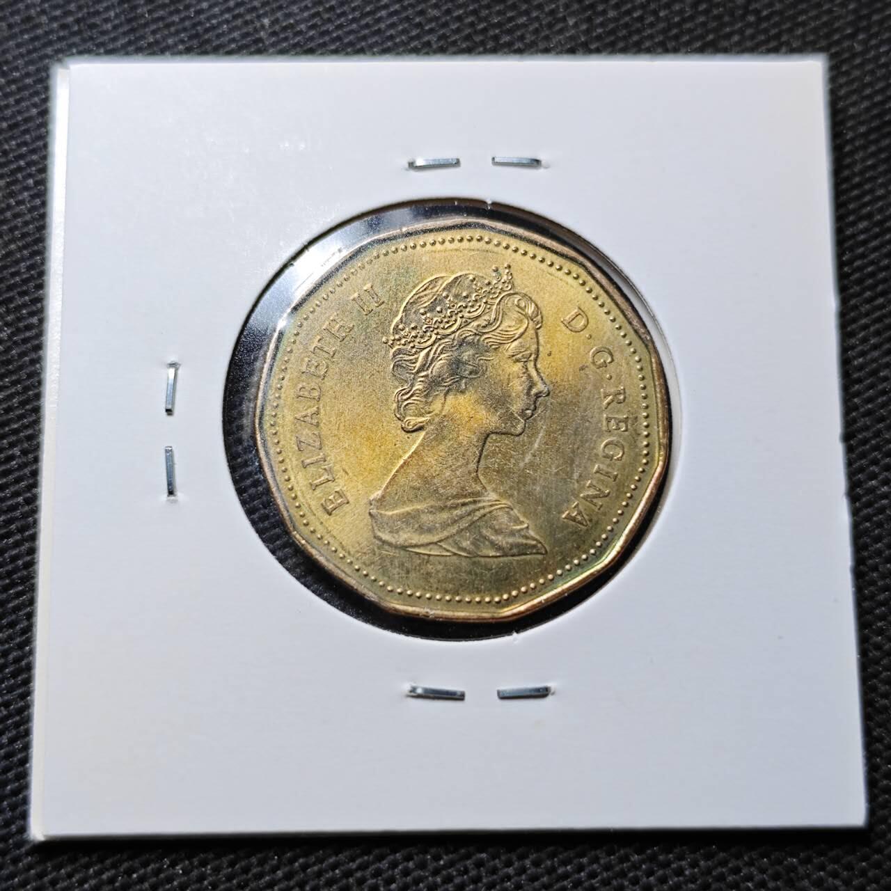 KK钱币收藏小铺 第355场 2月预留时间 周末发货  加拿大1元