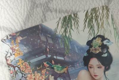 花开卡拍第43期（10月19号周日截拍，品控勿拍!!!拍品不寄存，运费5元，自制卡难免瑕疵，可能存在轻微撞角爆边等出厂瑕疵，品控介意勿拍！） - 燎原魅系列 甄宓 艺术版 钻闪