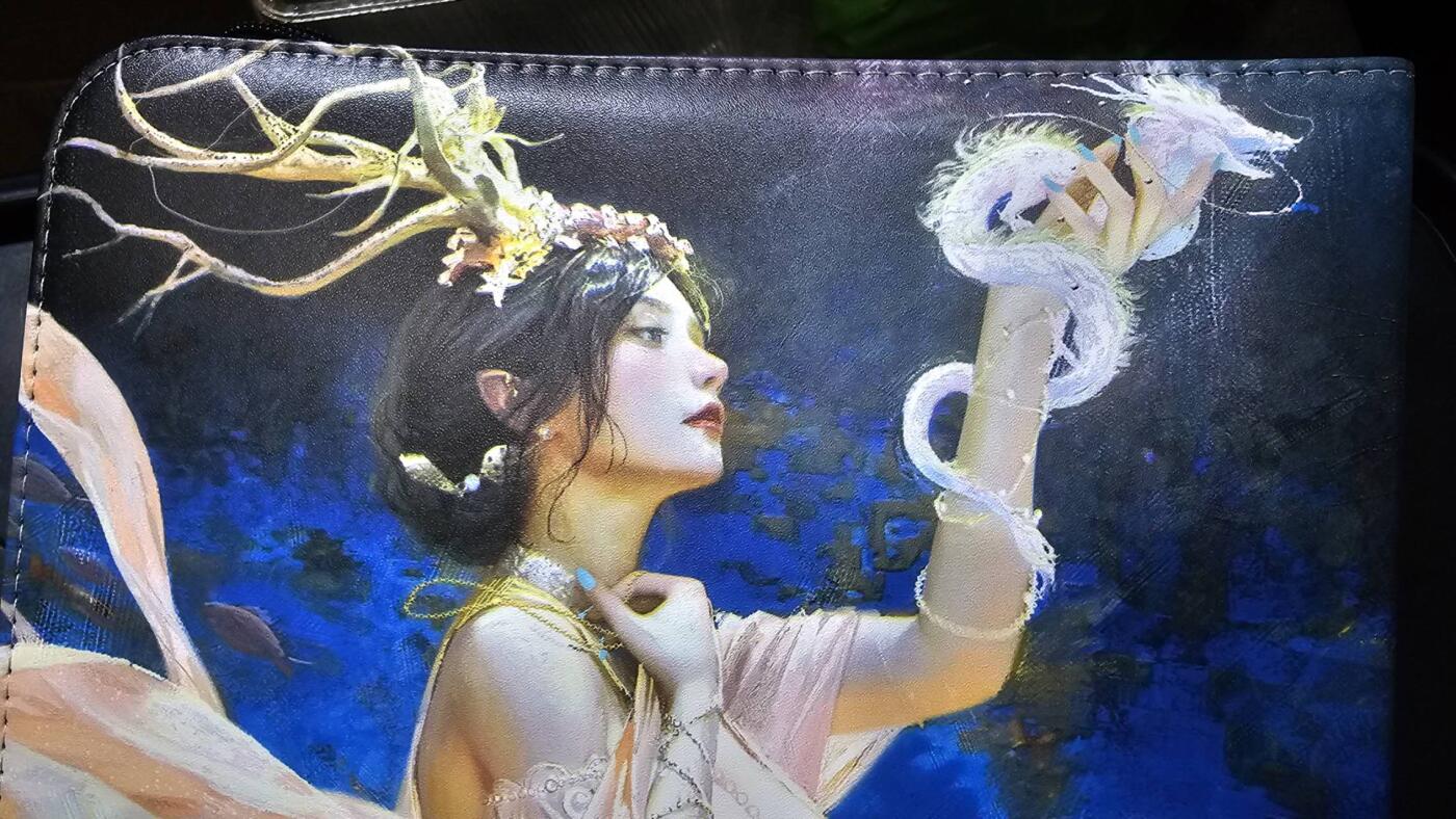 龙虎卡牌第五十九场（无佣金，满120包邮，周六晚上结拍，欢迎送拍） 9宫卡册 燎原焱卡 xx传主题卡册（无内页）