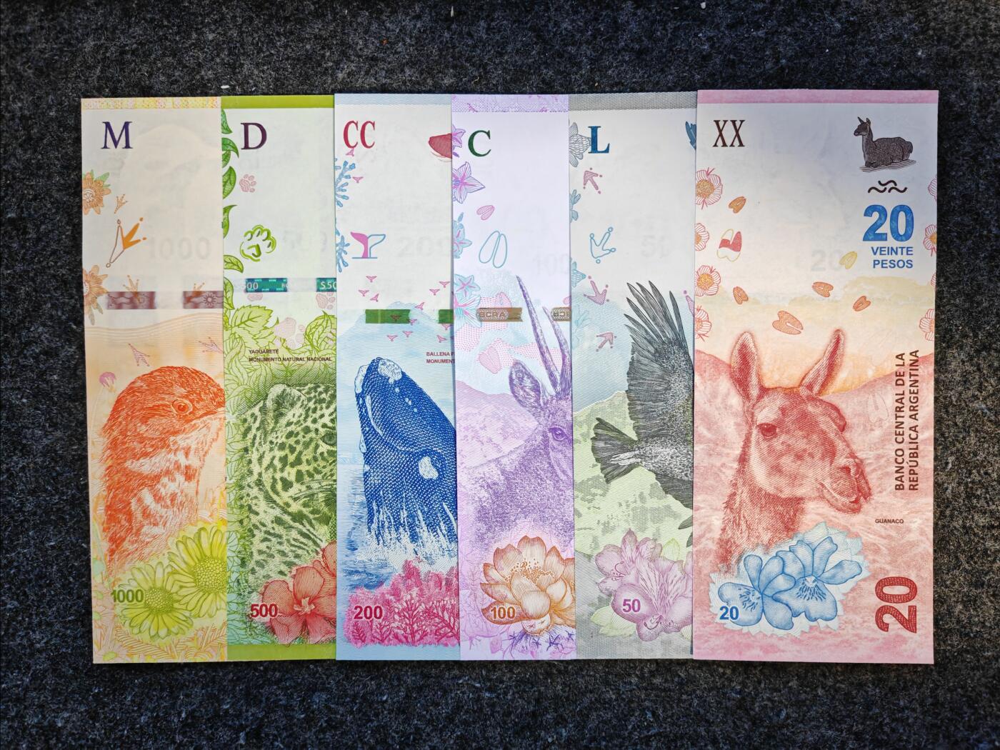 【礼羽收藏】🌏世界钱币拍卖第107期 【一组6张】全套面值，美洲，阿根廷，动物版大全套，全新 UNC