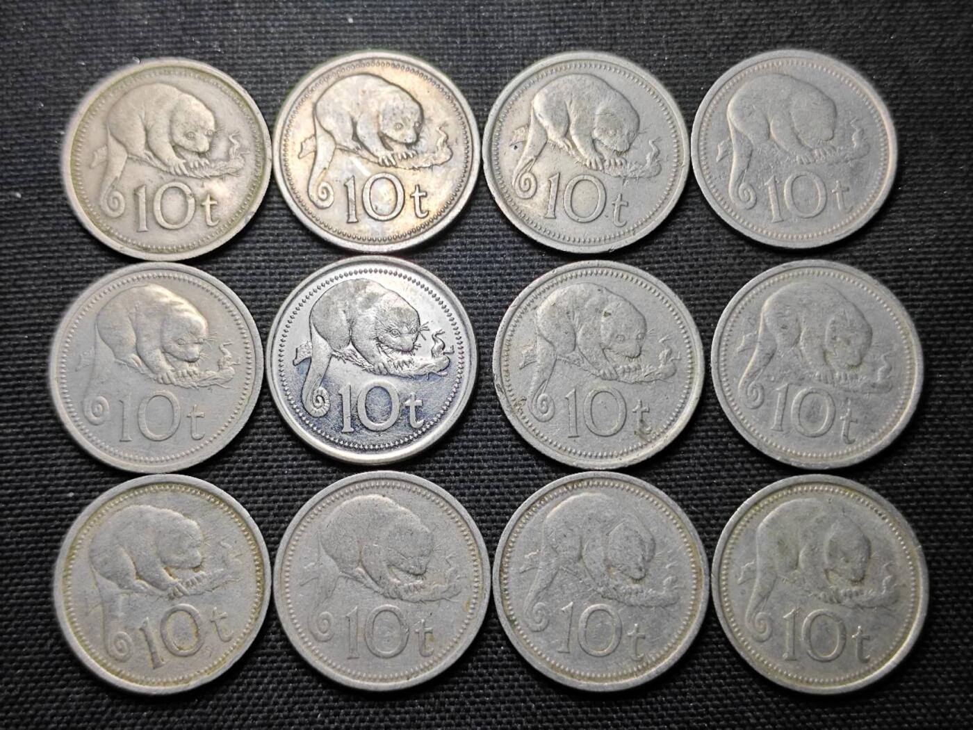 KK钱币收藏小铺 第355场 2月预留时间 周末发货