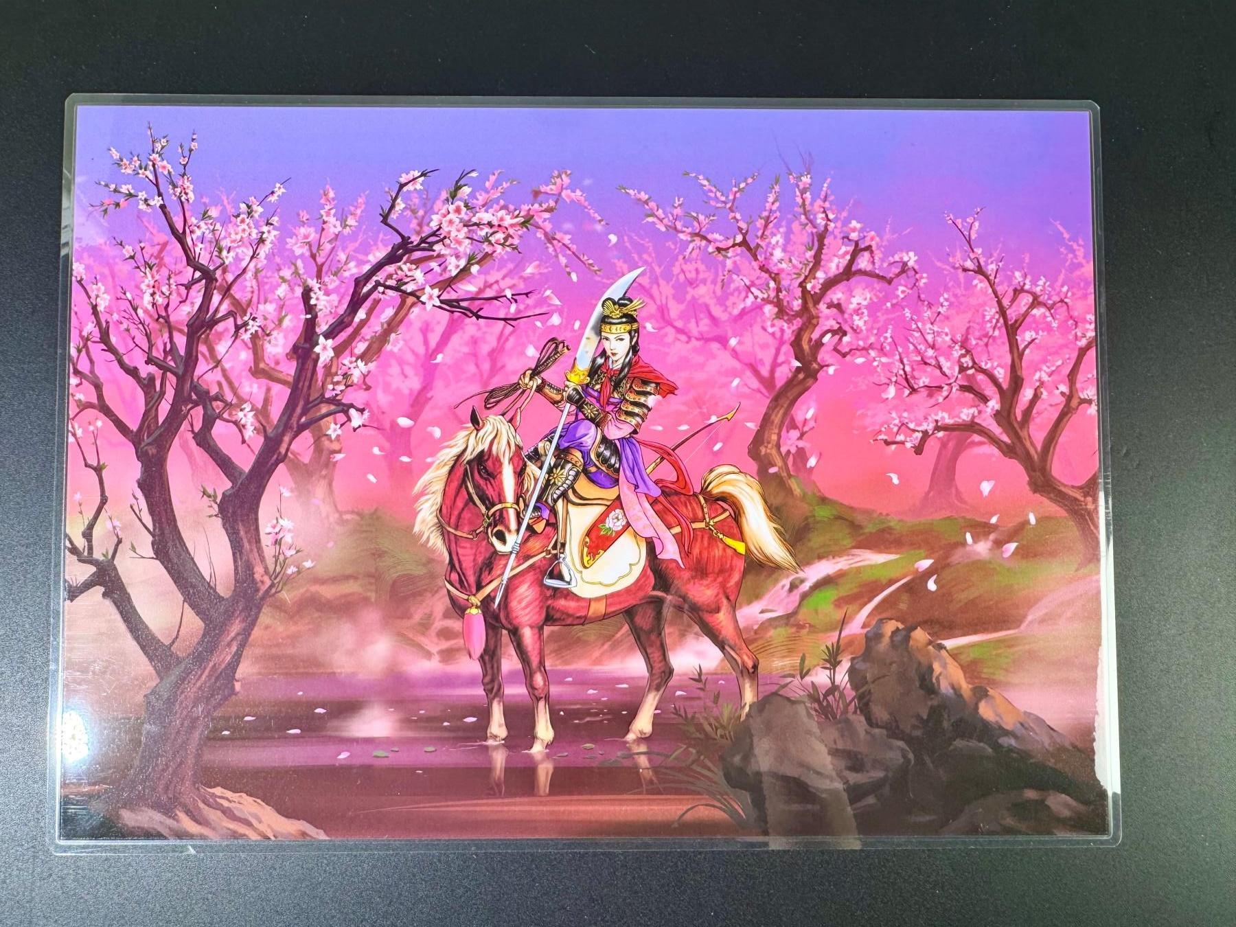 NO.13 好又多金牌大场，每周一站式配齐，方便凑单！（周6晚8点截拍，卖家送拍0抽成！） 小浣熊30周年 水浒英雄传 扈三娘全景防水大海报