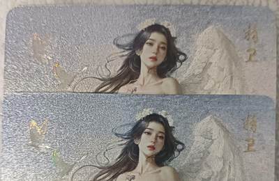 花开卡拍第43期（10月19号周日截拍，品控勿拍!!!拍品不寄存，运费5元，自制卡难免瑕疵，可能存在轻微撞角爆边等出厂瑕疵，品控介意勿拍！） - 燎原刷子妖姬传 精卫双服饰 幻彩粗闪2张