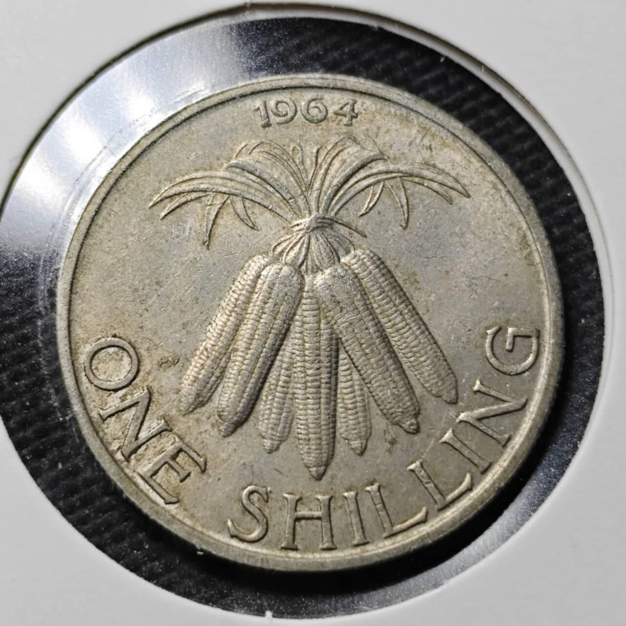 KK钱币收藏小铺 第355场 2月预留时间 周末发货