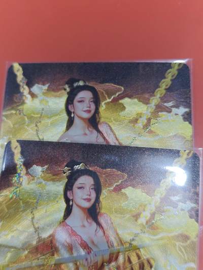 寸草不生拍卖会 第十一期 - 燎原 ST-Brush 刷子老师绘人间传 幻彩粗闪 贾南风