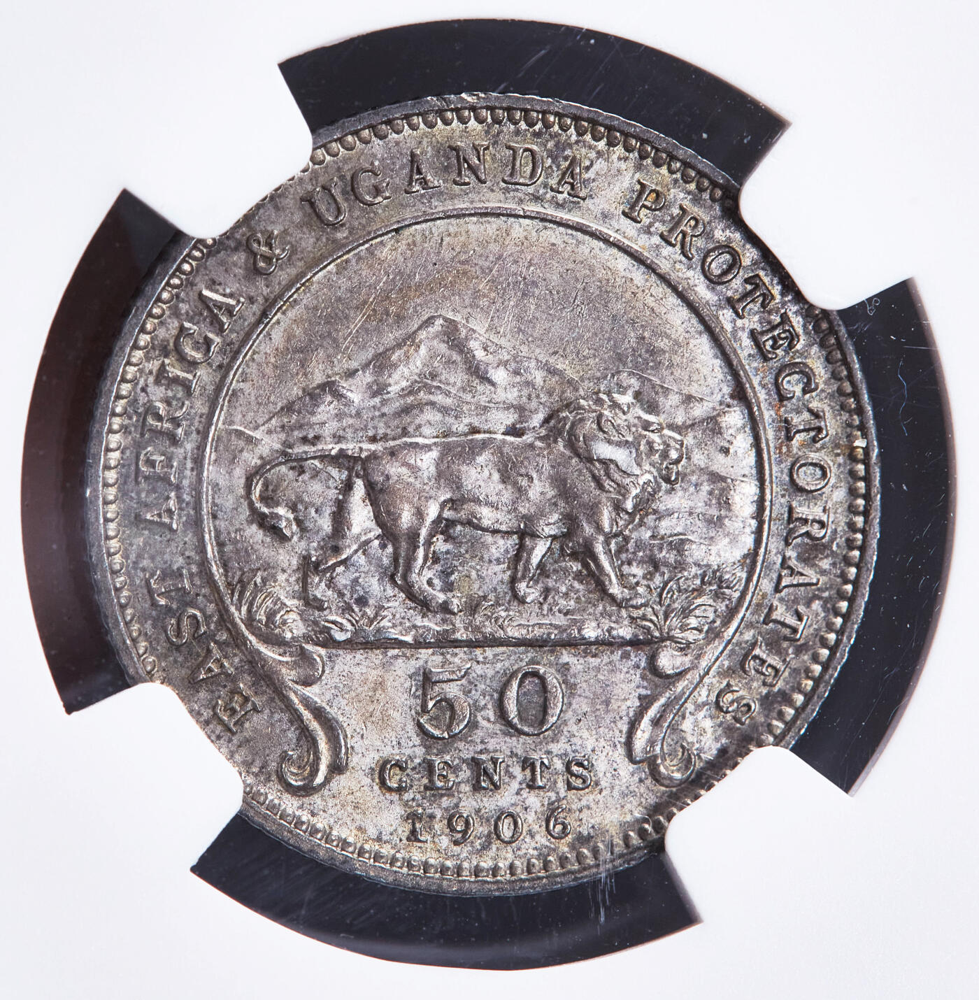 【俄甄集藏】2025年(044)11-12星期三晚 19:30 全场包邮 英属东非殖民地1906年爱德华七世50分银币，NGC AU58，原味包浆，细节犀利