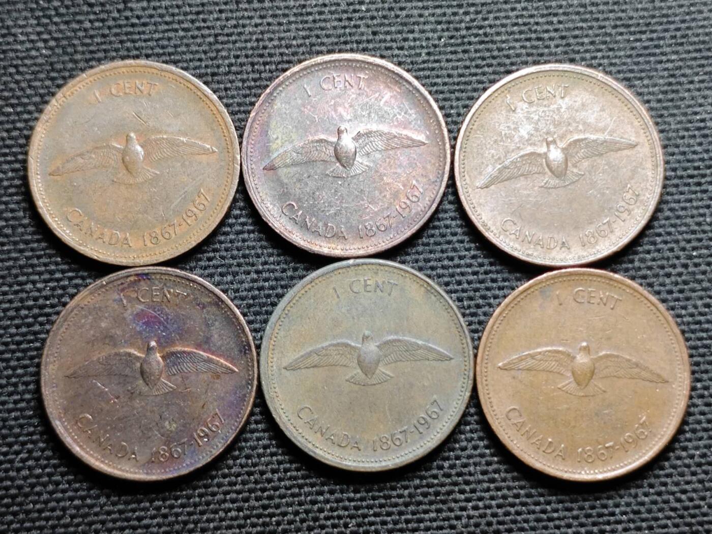 KK钱币收藏小铺 第355场 2月预留时间 周末发货