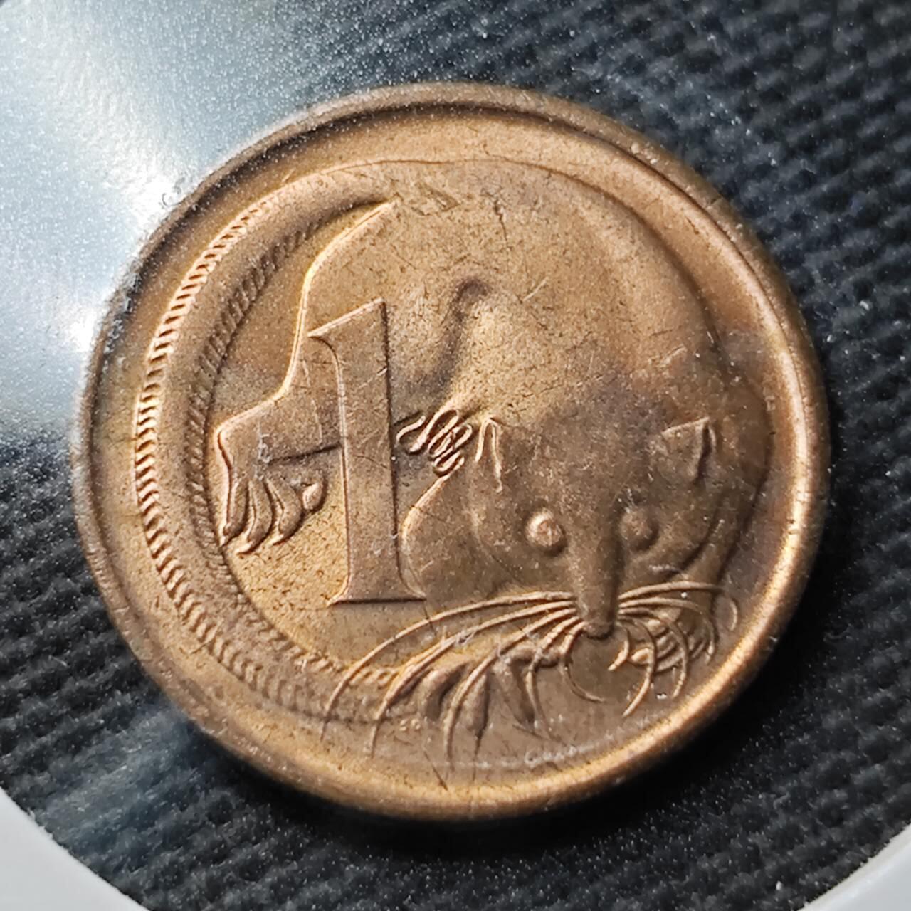 KK钱币收藏小铺 第355场 2月预留时间 周末发货  澳大利亚1分铜币 好品