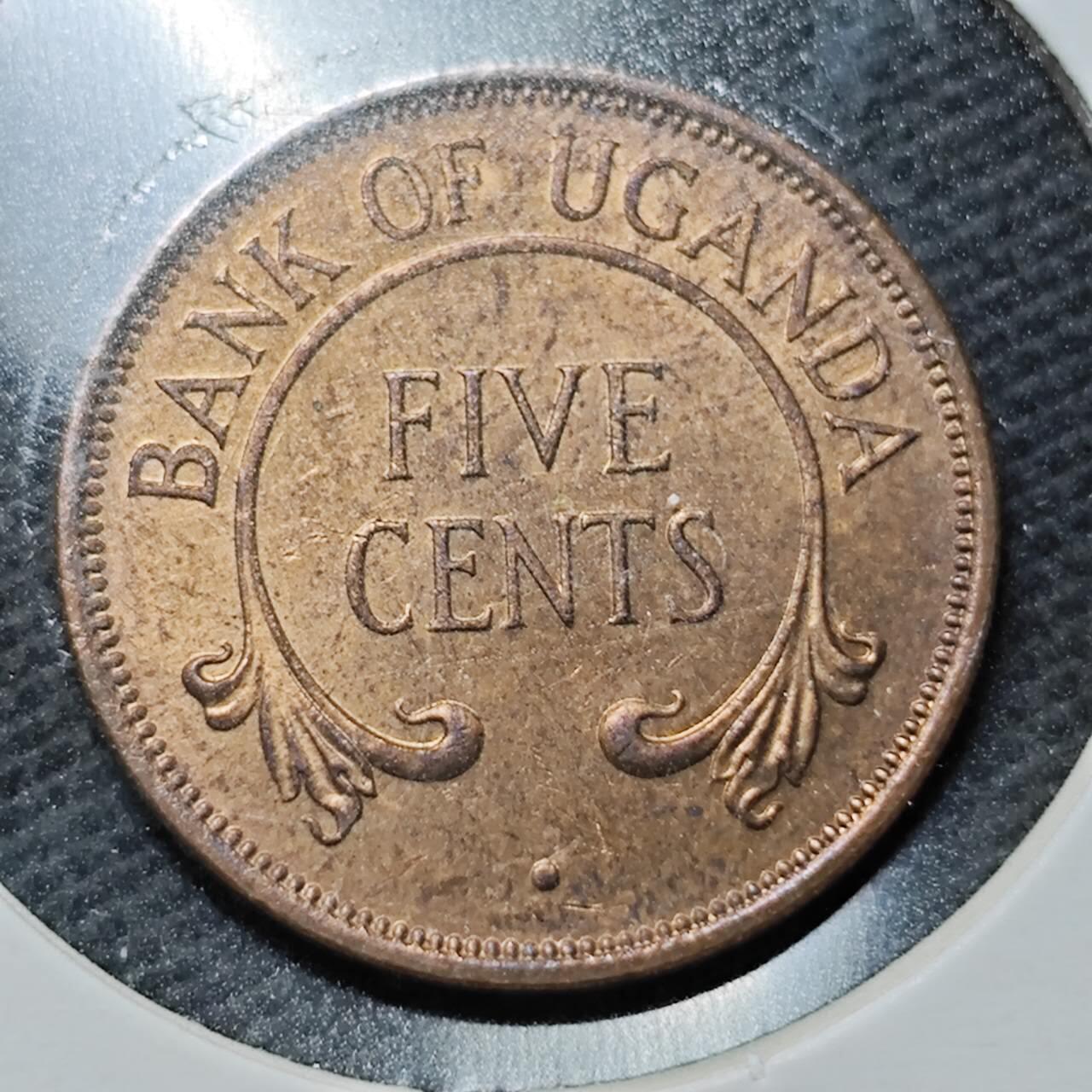 KK钱币收藏小铺 第355场 2月预留时间 周末发货