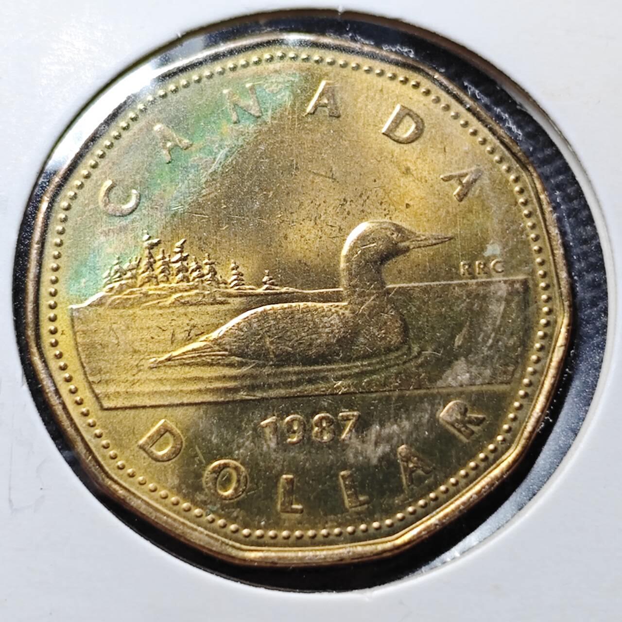 KK钱币收藏小铺 第355场 2月预留时间 周末发货  加拿大1元