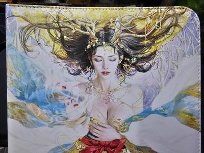 龙虎卡牌第五十九场（无佣金，满120包邮，周六晚上结拍，欢迎送拍） - 9宫卡册 燎原焱卡 xx传主题卡册（无内页）