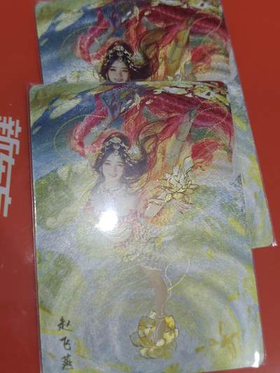 寸草不生拍卖会 第十一期 - 燎原 ST-Brush 刷子老师绘人间传 幻彩粗闪 赵飞燕