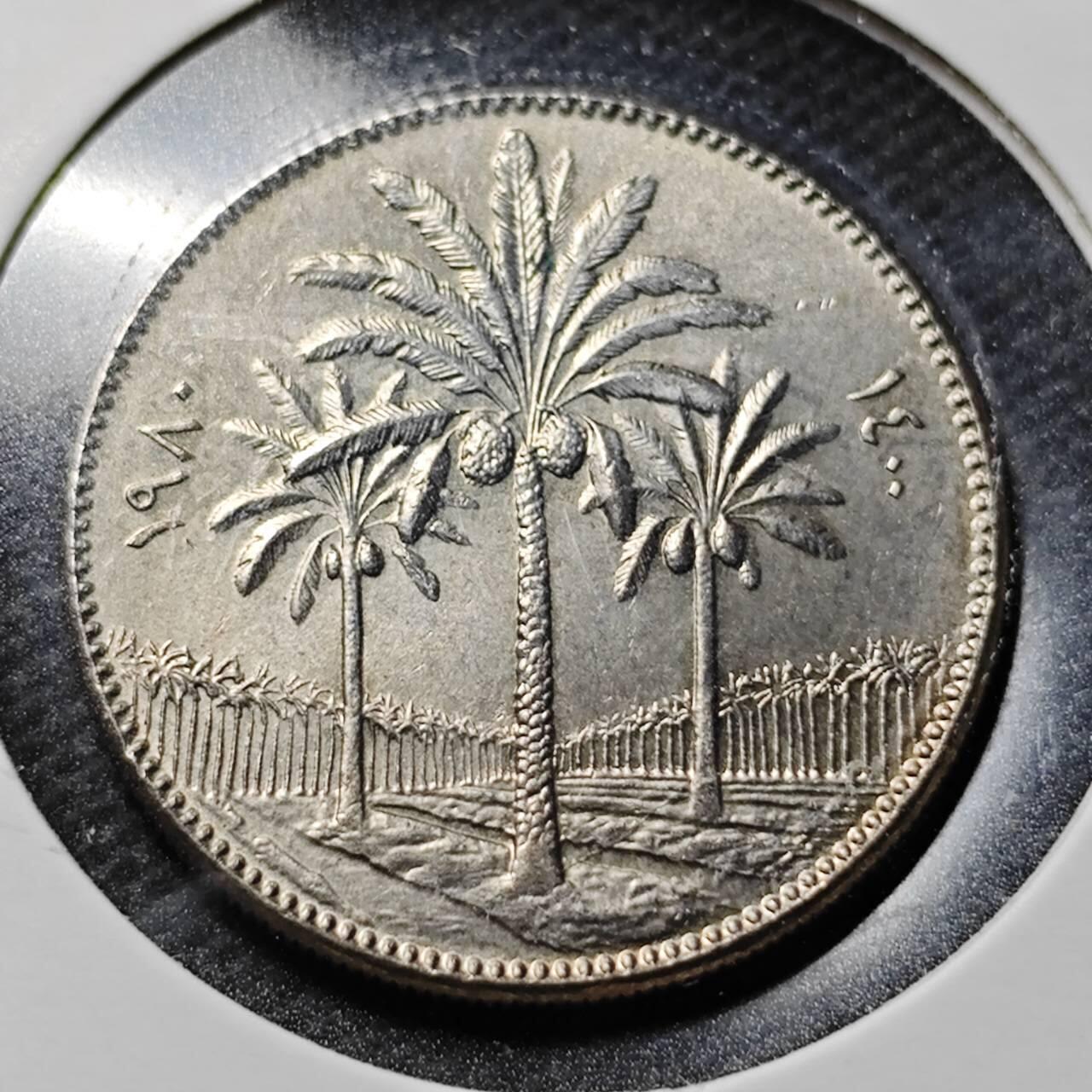 KK钱币收藏小铺 第355场 2月预留时间 周末发货