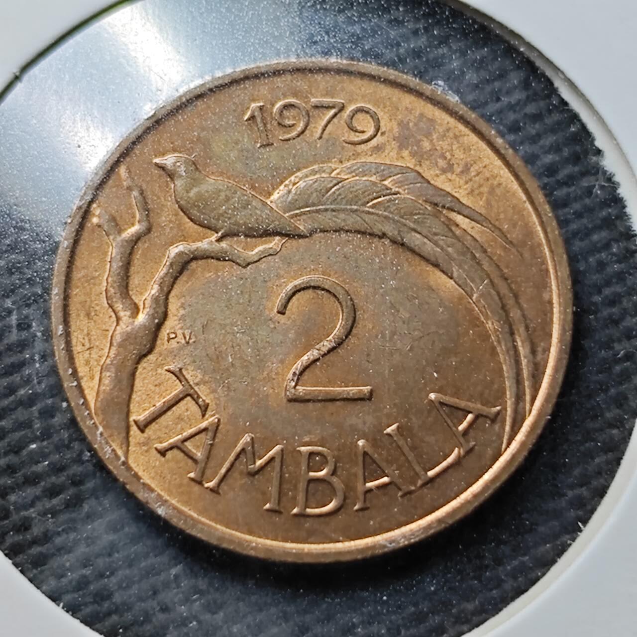 KK钱币收藏小铺 第355场 2月预留时间 周末发货  1979马拉维2分铜币