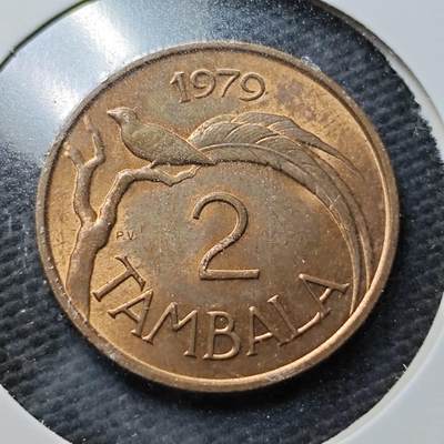KK钱币收藏小铺 第355场 2月预留时间 周末发货 -  1979马拉维2分铜币