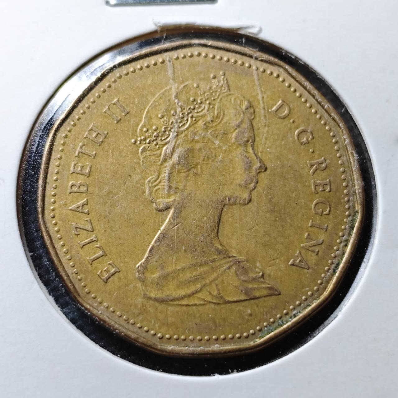 KK钱币收藏小铺 第355场 2月预留时间 周末发货  加拿大一元