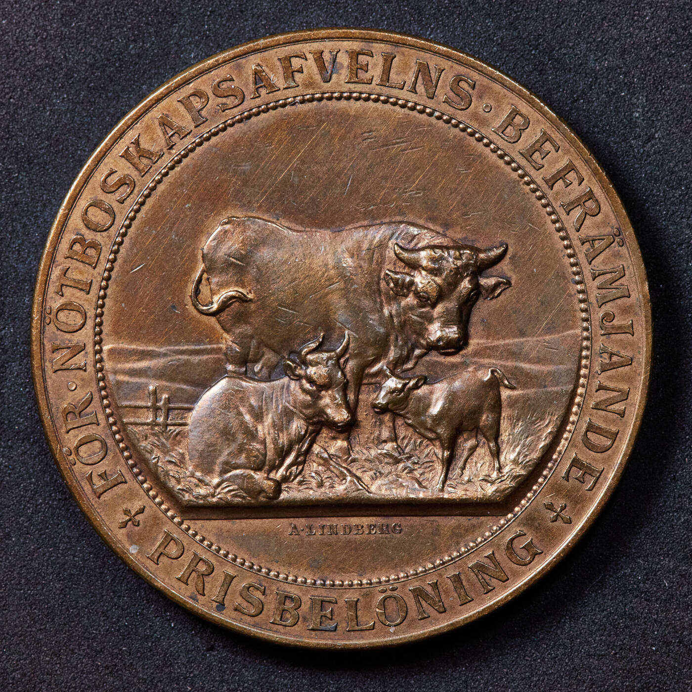 【俄甄集藏】2025年(044)11-12星期三晚 19:30 全场包邮 瑞典19世纪延雪平省皇家家庭协会牡牛养殖业发展促进铜质奖章，高浮雕，直径：50mm，重量：62.31克