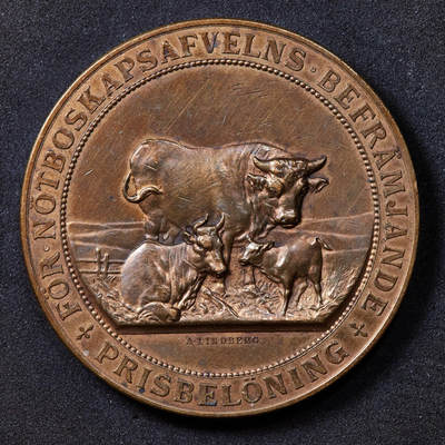 【俄甄集藏】2025年(044)11-12星期三晚 19:30 全场包邮 - 瑞典19世纪延雪平省皇家家庭协会牡牛养殖业发展促进铜质奖章，高浮雕，直径：50mm，重量：62.31克