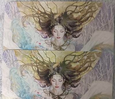 花开卡拍第43期（10月19号周日截拍，品控勿拍!!!拍品不寄存，运费5元，自制卡难免瑕疵，可能存在轻微撞角爆边等出厂瑕疵，品控介意勿拍！） - 燎原刷子妖姬传 龙女双服饰 幻彩普卡2张
