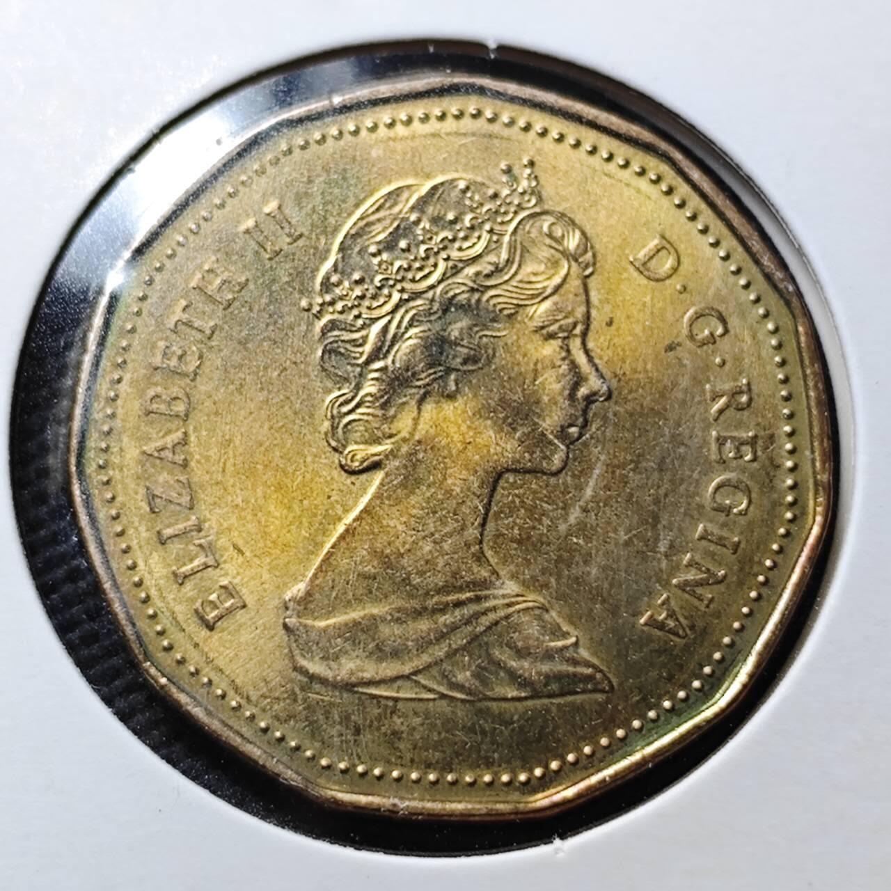 KK钱币收藏小铺 第355场 2月预留时间 周末发货  加拿大1元