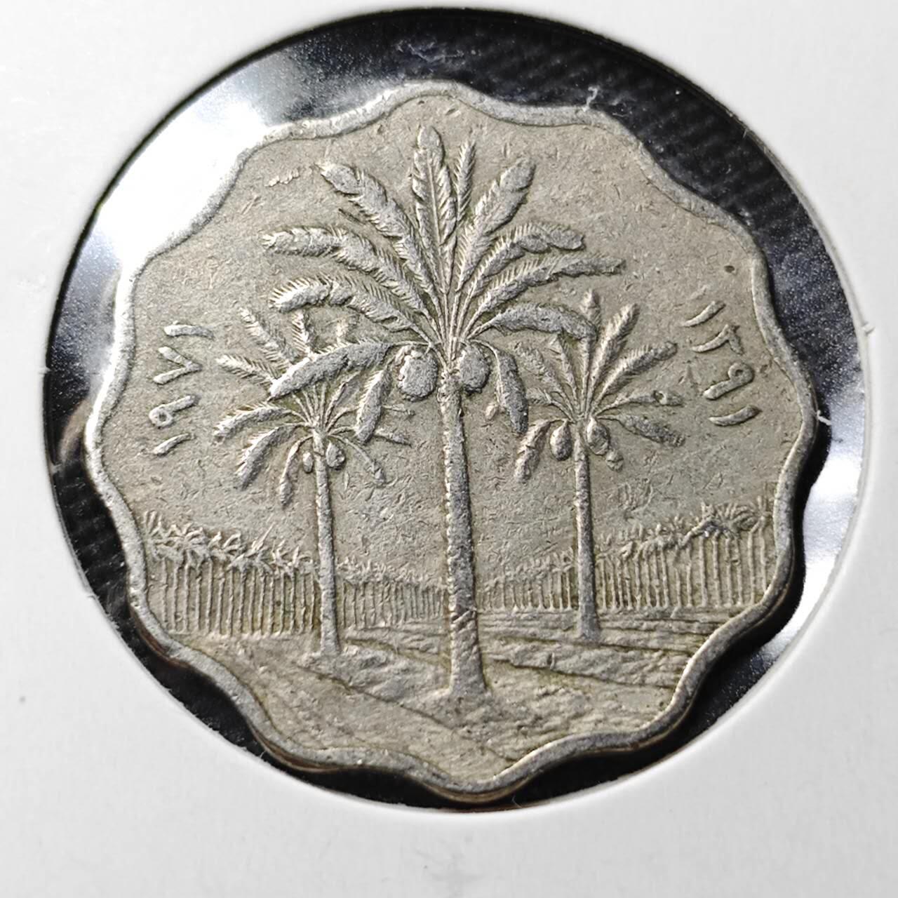 KK钱币收藏小铺 第355场 2月预留时间 周末发货