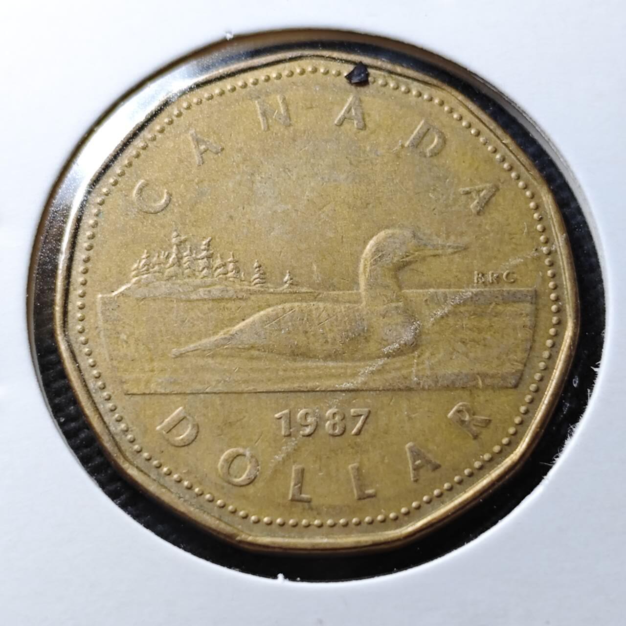 KK钱币收藏小铺 第355场 2月预留时间 周末发货  加拿大一元