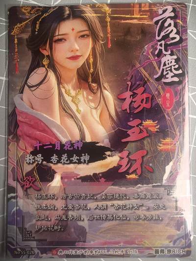 第二十五场拍卖 无佣金 不寄存 不寄存  不寄存 部分卡牌设有底价 拒绝小号抬价 大家放心拍 所有拍品全部有卡膜 自制卡牌 不包厂瑕 放大镜 品控 勿拍 感谢大家支持 留个关注 谢谢 - 奇点卡牌 宗老师 落凡尘杨玉环 粉红卡背