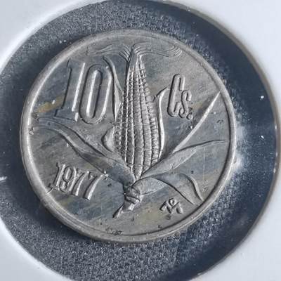 沼泽如烟--第880场 - 墨西哥1977年10分
