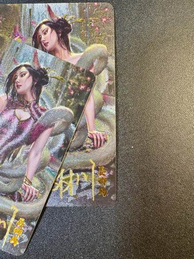 NO.13 好又多金牌大场，每周一站式配齐，方便凑单！（周6晚8点截拍，卖家送拍0抽成！） - 【亲签卡】卡卡有趣 林川亲签 上古四氏狐族 晏卿离 双服饰 粗闪一对