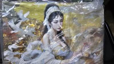 龙虎卡牌第五十九场（无佣金，满120包邮，周六晚上结拍，欢迎送拍） - 12宫卡册 燎原焱卡 xx传主题卡册（无内页）