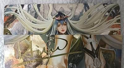 花开卡拍第43期（10月19号周日截拍，品控勿拍!!!拍品不寄存，运费5元，自制卡难免瑕疵，可能存在轻微撞角爆边等出厂瑕疵，品控介意勿拍！） - 卡玩帕克 2025新春福袋卡 印签 武松 粗闪