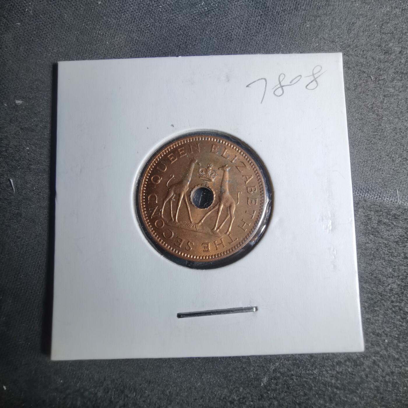 沼泽如烟--第878场 罗德西亚1964年半便士