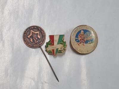 韵星假日拍卖第二十八期 -- Rimey Holidays Auction 28 - 匈牙利人民共和国徽章一组 农业发展 共青团