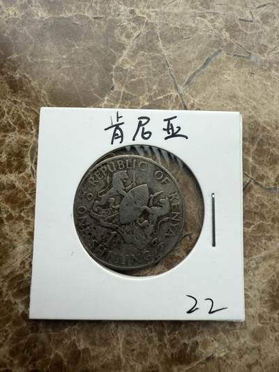 四海杂货铺第五场 - 肯尼亚硬币