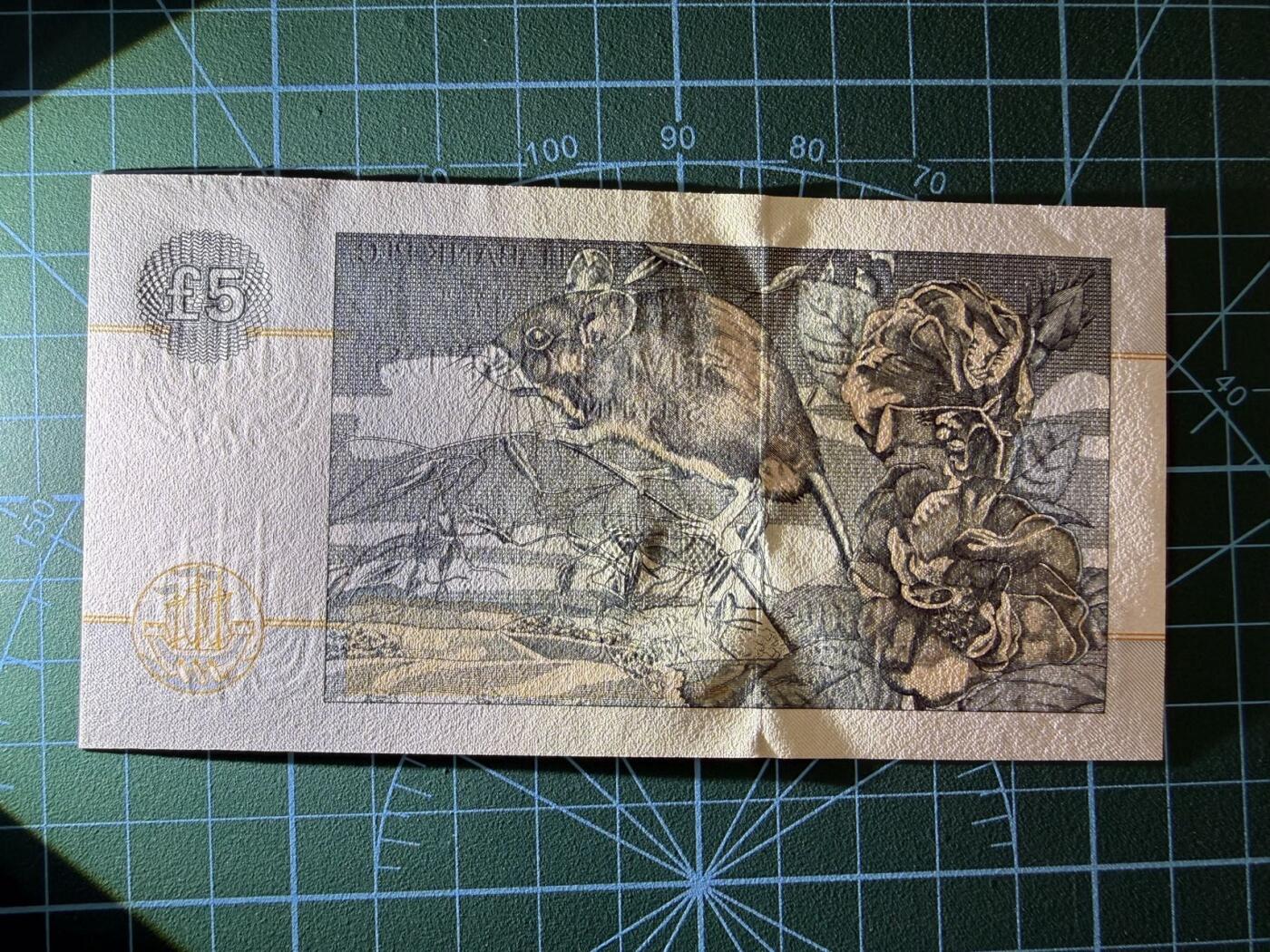 【炜奕收藏】，第四十七期