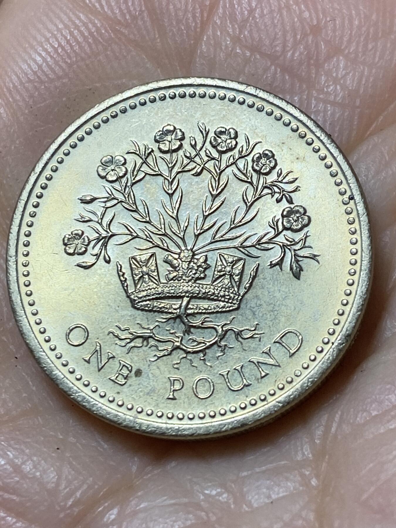 2025年第一百一十二场(总第一百三十八场）外国好品散币(免佣金) 英国🇬🇧1991年1镑(伊丽莎白二世中年高冠，北爱尔兰亚麻，关门年仅发行2年)
