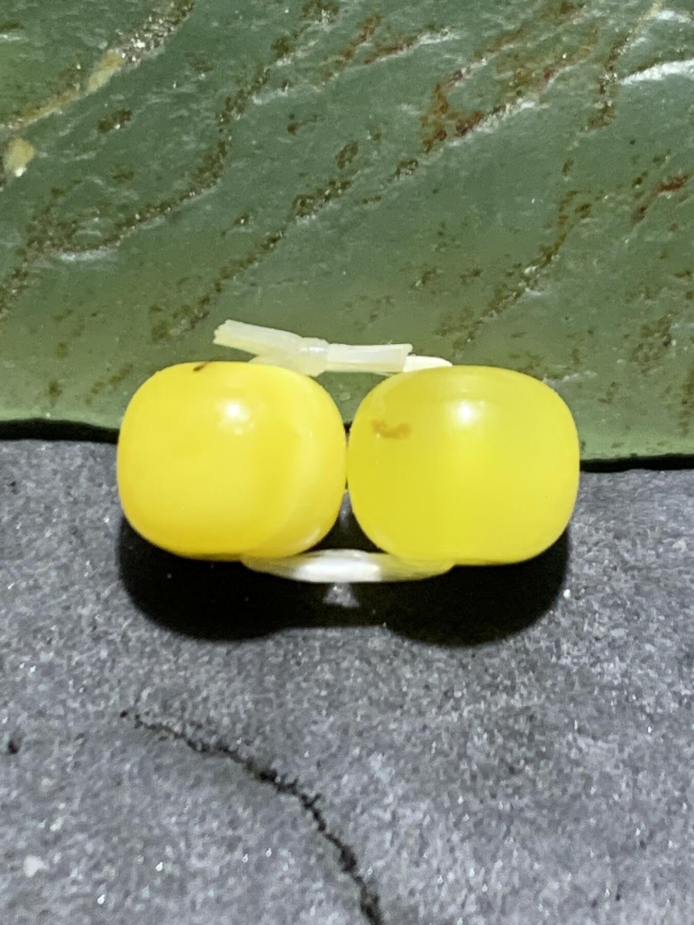 天然俄料原矿蜜蜡小尺寸老形桶珠腰珠两颗，。