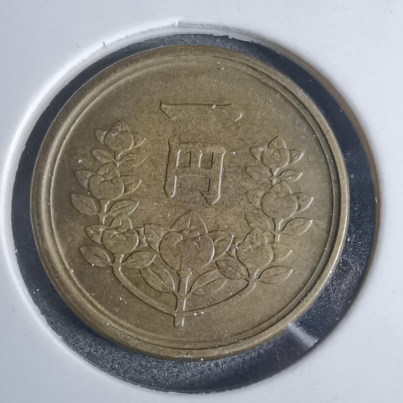 沼泽如烟--第877场